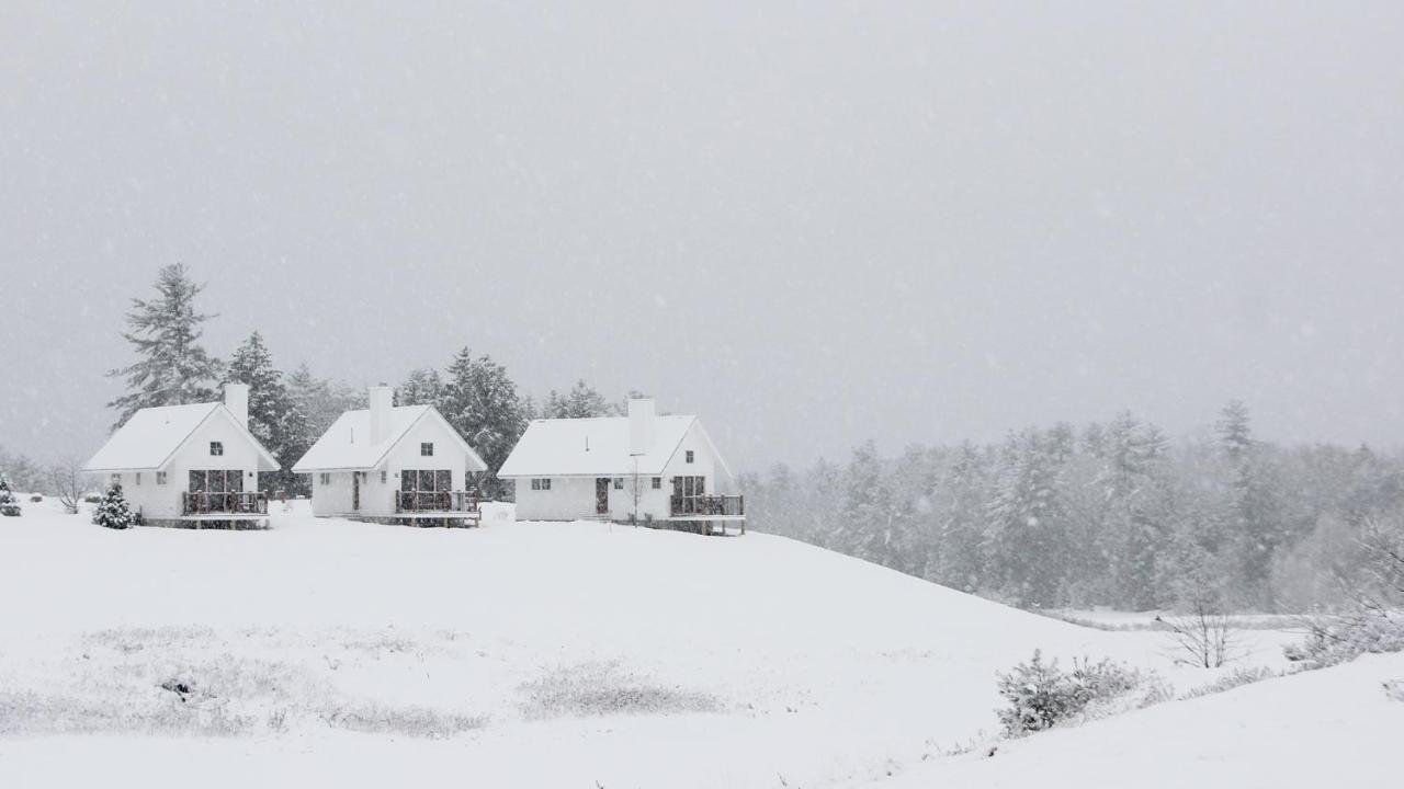 Owl'S Nest Resort Thornton Zewnętrze zdjęcie